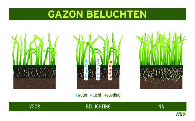 Door te beluchten kan het regenwater, lucht en voedingsstoffen goed in de bodem dringen.